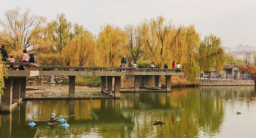 (AQEY图片新闻)兰州西湖公园风景如画(36805104)-20241122165500 (AQEY图片新闻)兰州西湖公园风景如画(36805104)-20241122165500