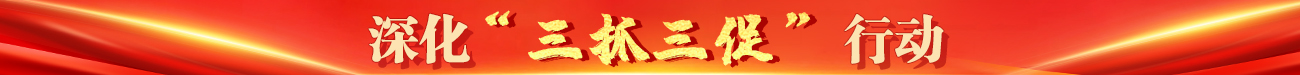 纵深推进“三抓三促”行动