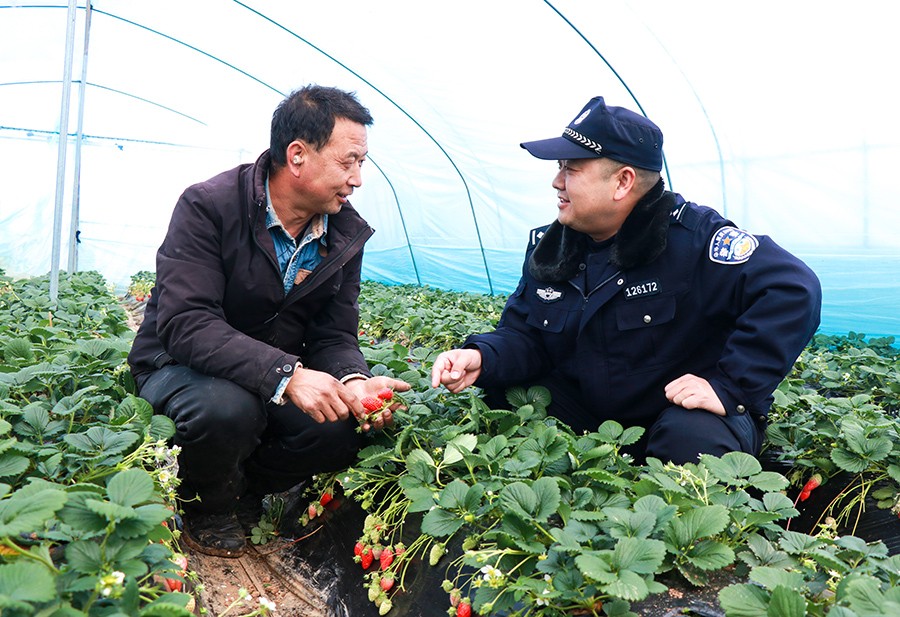WAQEY图片新闻 ）徽县公安：为春耕生(38664229)-20250214164115