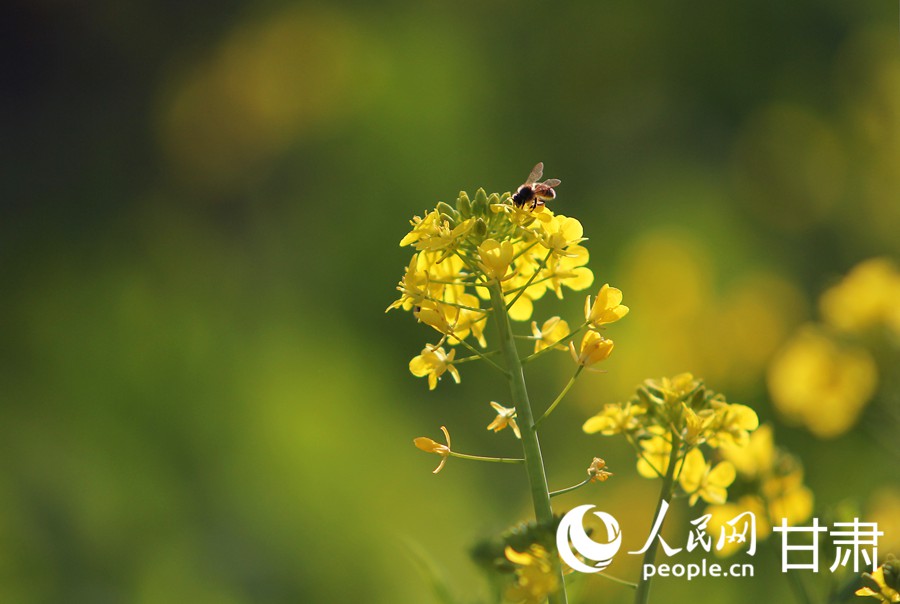 LOCAL17395222496110U867ND4I1