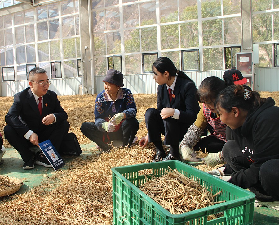 （AQEＹ配图3）以主动创稳回应民之所盼(38677007)-20250218142150