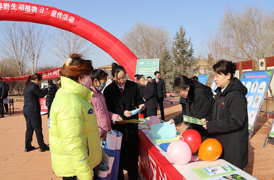 （WAQEＹ图片新闻）普法宣传  保护物(38993230)-20250304152241