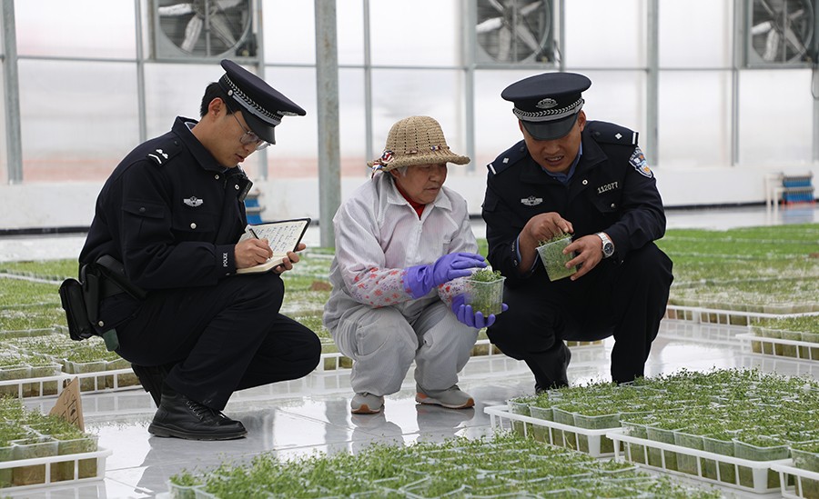 (wAQEＹ图片新闻)安定公安助力乡村产(39136993)-20250306155949