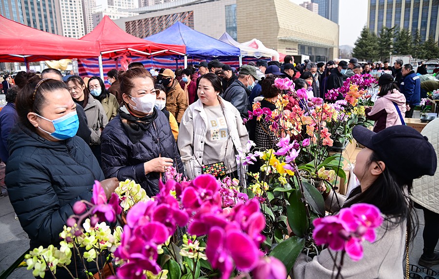 （WAQEY，图片新闻）植树节宣传现场花(39348146)-20250313145117