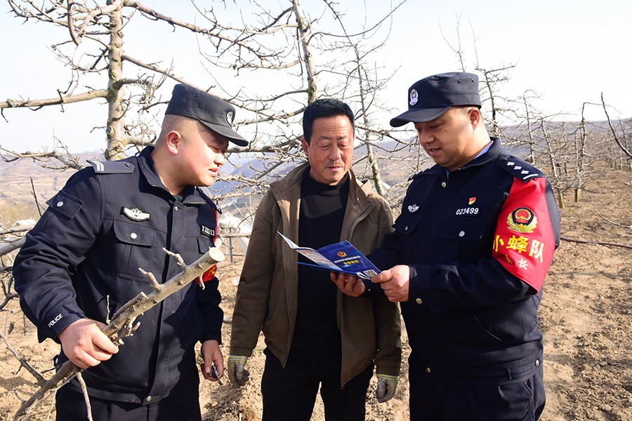 （QEY，配图）“小蜂队”孕育“平安果”(39607779)-20250320162739