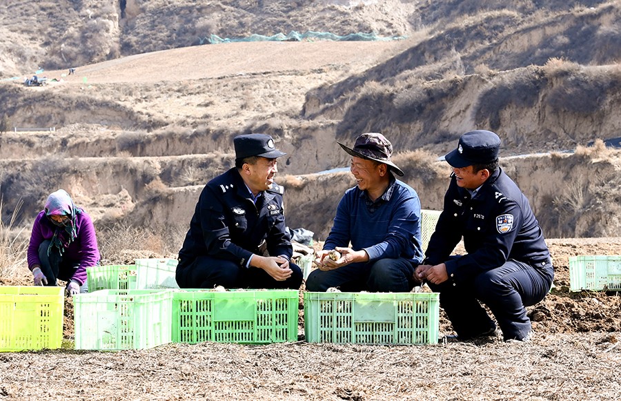 （qEY配图2）百合之乡丰收忙 藏蓝守护(39672601)-20250326104741