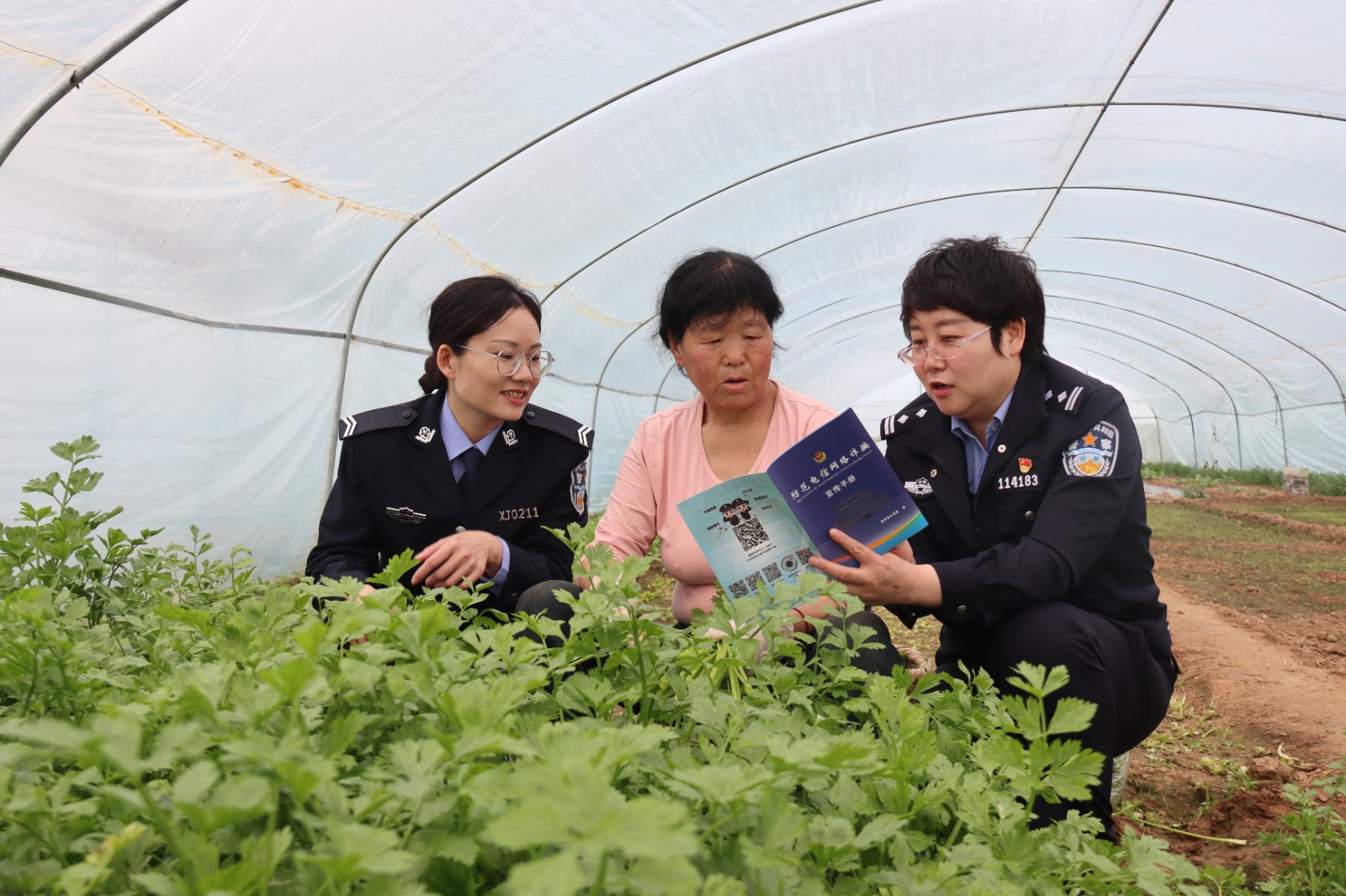 WAq(EY图片新闻)强化宣传  提升群(39757718)-20250327154610