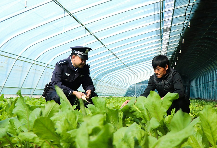 （QEＹ图片新闻）问需于民助春耕(39804353)-20250331164253