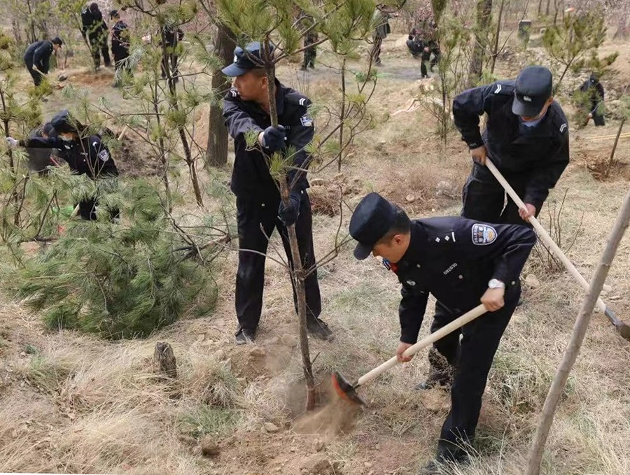 （wAQEY，图片新闻）春风催新绿 植树(39988934)-20250409154625