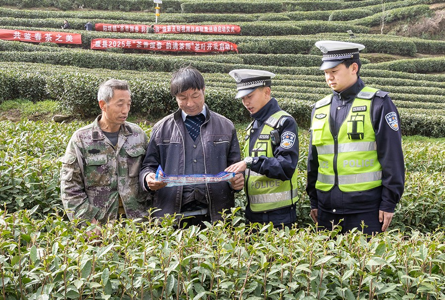 （AQEＹ图片新闻）茶园普法“警”色浓(40026491)-20250411103846