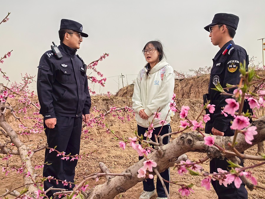 （WAQYE图片新闻）2025秦安桃花会(40075362)-20250414153509