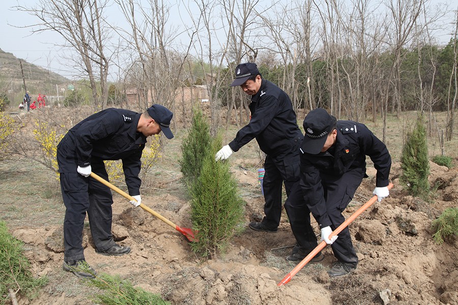（QYE  司法周刊图片新闻）植此青绿 (40118075)-20250417164419