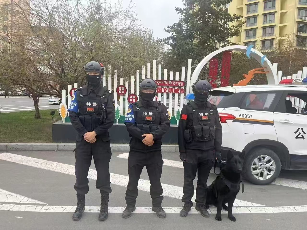 微信图片_20250513173937