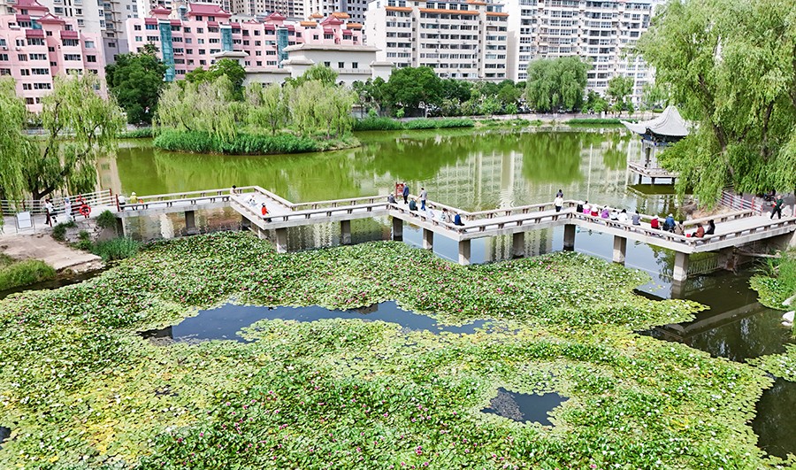 （WAEQY，图片新闻）夏日的小西湖公园(41354955)-20250610173221
