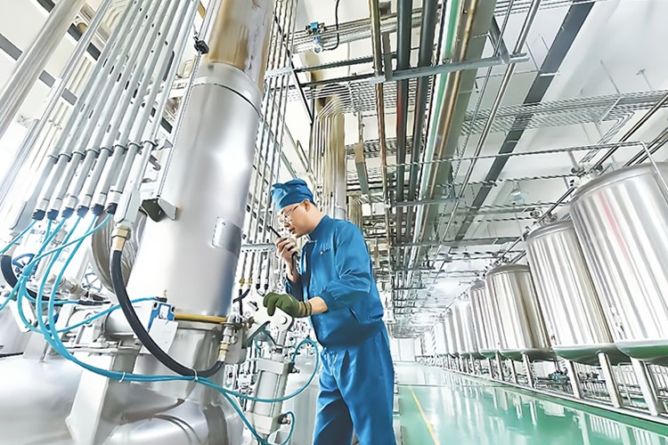 【如意新甘肃 臻品陇字号】一粒药丸里的千年智慧与甘肃担当