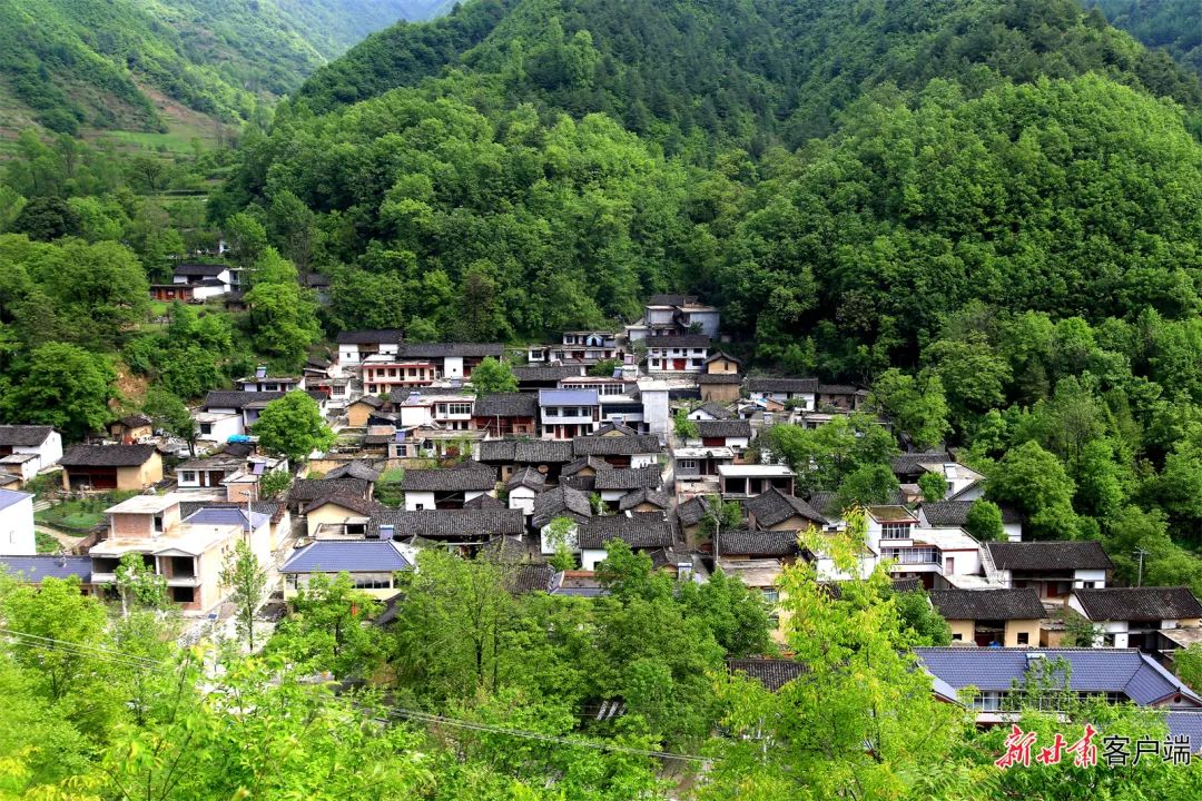 【高质量发展调研行】村景这边独好 ——陇南市积极探索农文旅深度融合发展路径