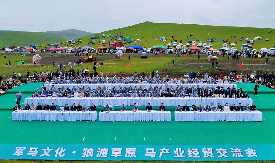 “军马文化·狼渡草原”马产业经贸交流会在岷县举行