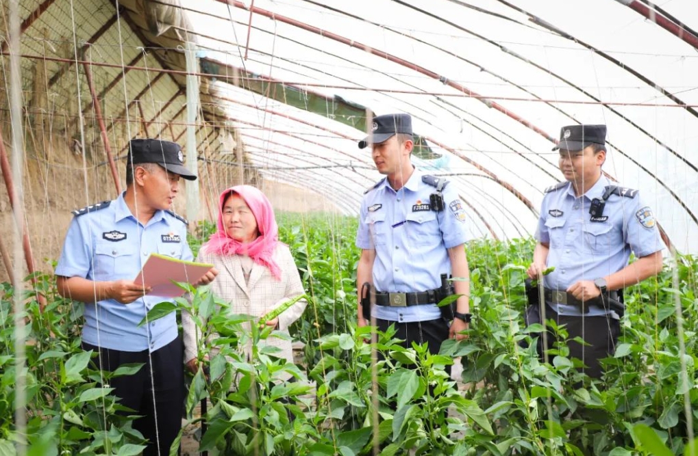 微信截图_20250710101906 微信截图_20250710101906