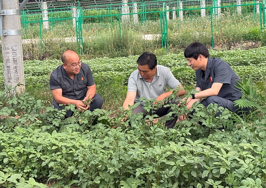 从田间地头走进百姓心头  一一灵台县法院什字法庭“一村一法官”工作侧记