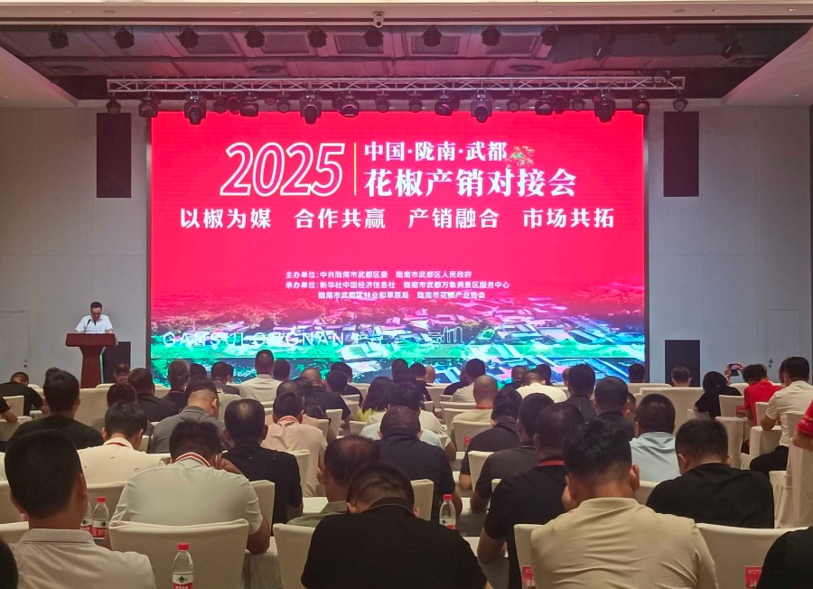 （wqYE  记者参会稿网发，配图)20(42246181)-20250720212927