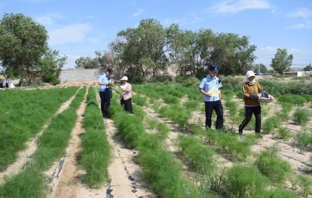 wechat_2025-08-08_165759_577 wechat_2025-08-08_165759_577