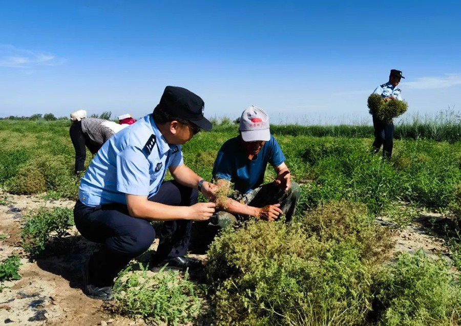 GetAttachment (4) GetAttachment (4)