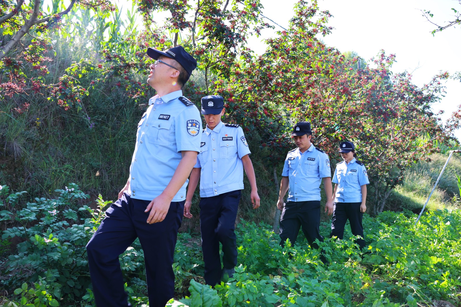 （QEＹ配图）“警察蓝”守护“花椒红”(43603529)-20250916110656
