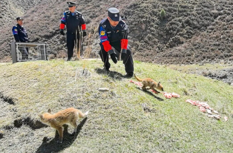 wechat_2025-09-18_102234_167 wechat_2025-09-18_102234_167