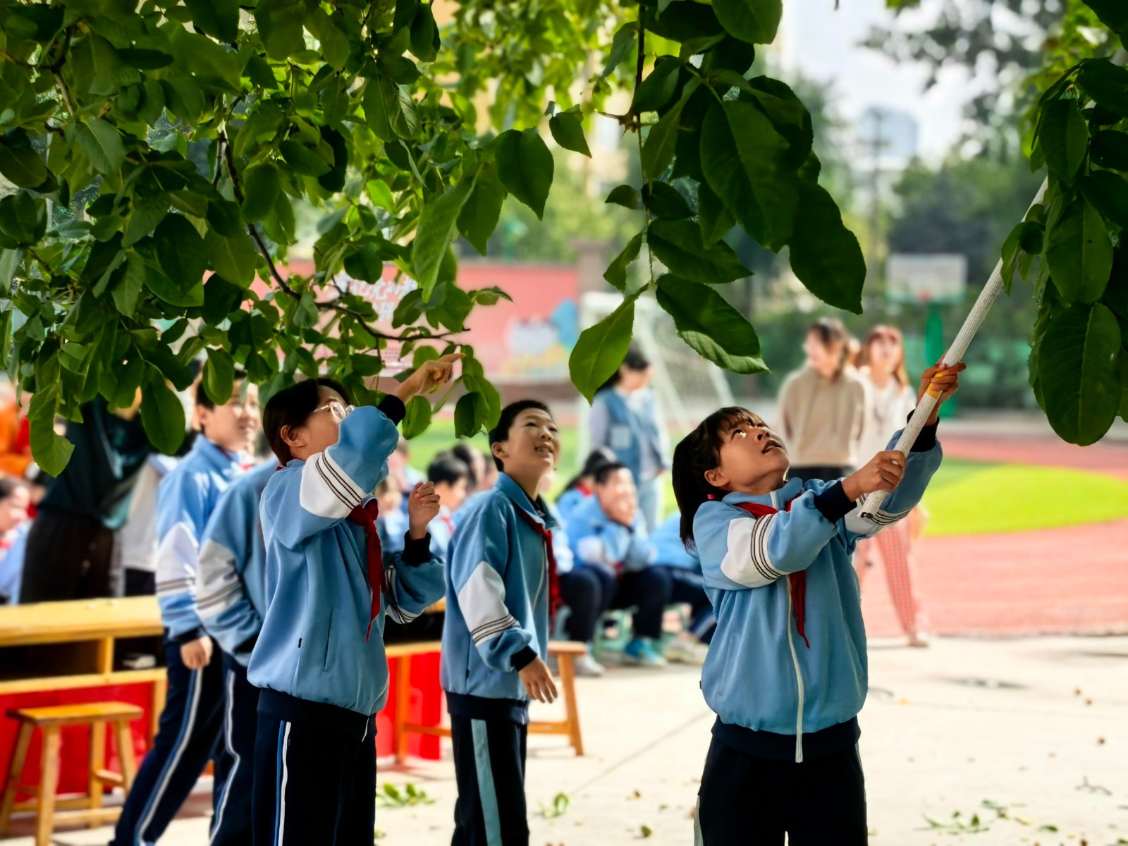 （WAQEＹ图片新闻）西津路学校第九届“(43801801)-20250922144242