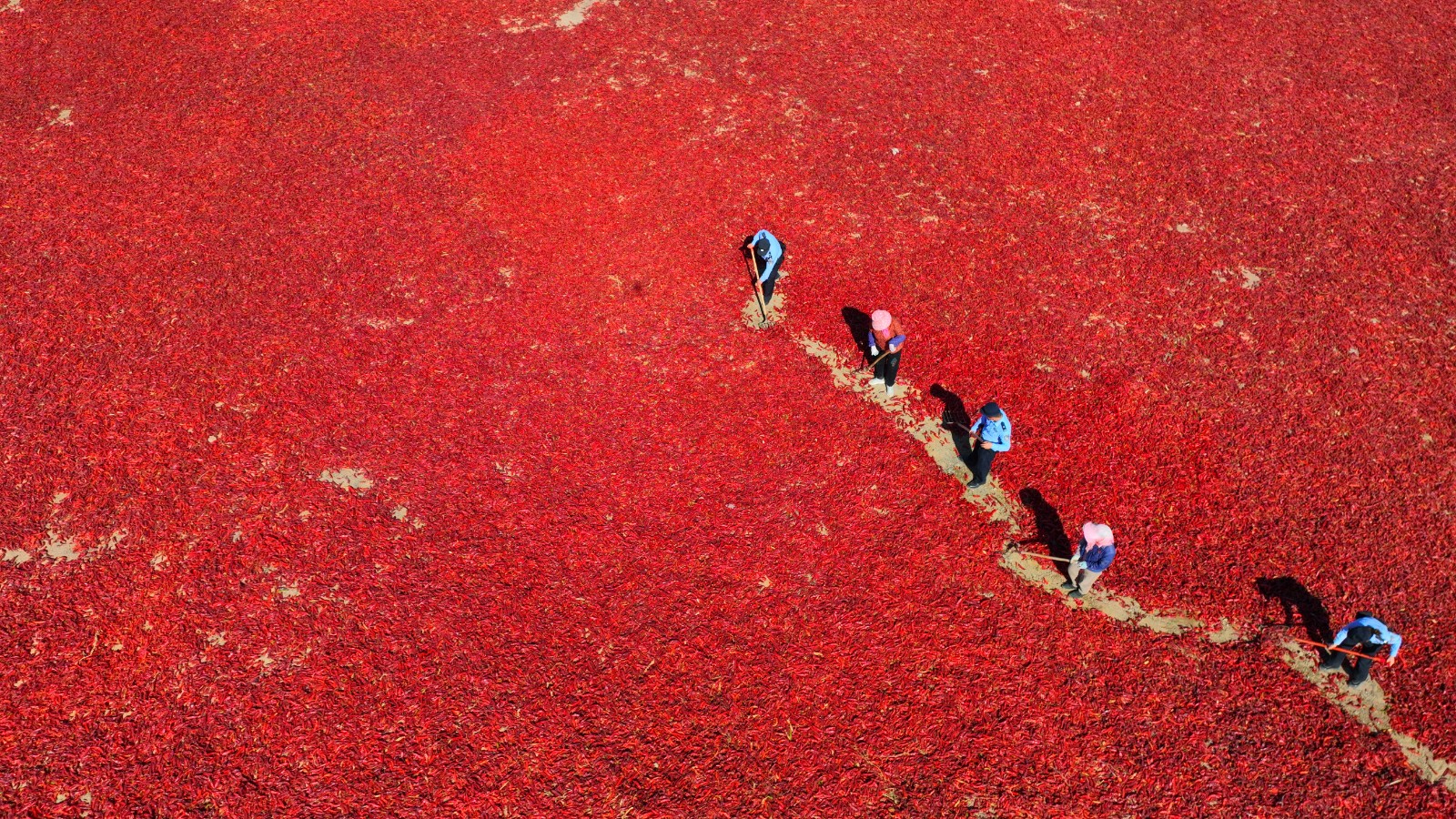 （QEY图片新闻）肃南公安丰收节里话安全(43989965)-20250925172851