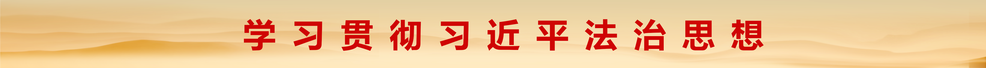 学习贯彻习近平法治思想
