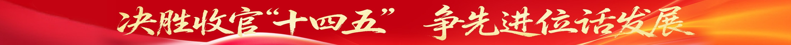 “十四五”成就