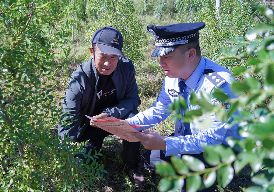 （WAqEY，配图）藏蓝守护“红果果” (44183006)-20251014093954