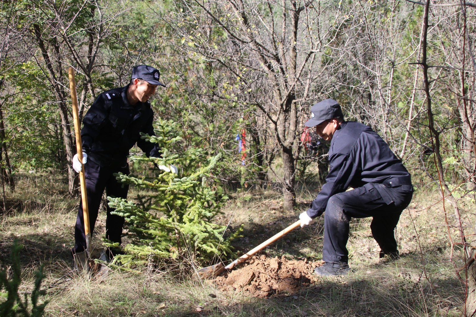 (AqEY图片新闻)通渭公安开展义务植树(44223852)-20251014173251