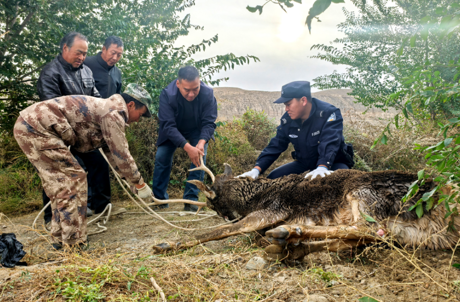 wechat_2025-10-16_170110_179