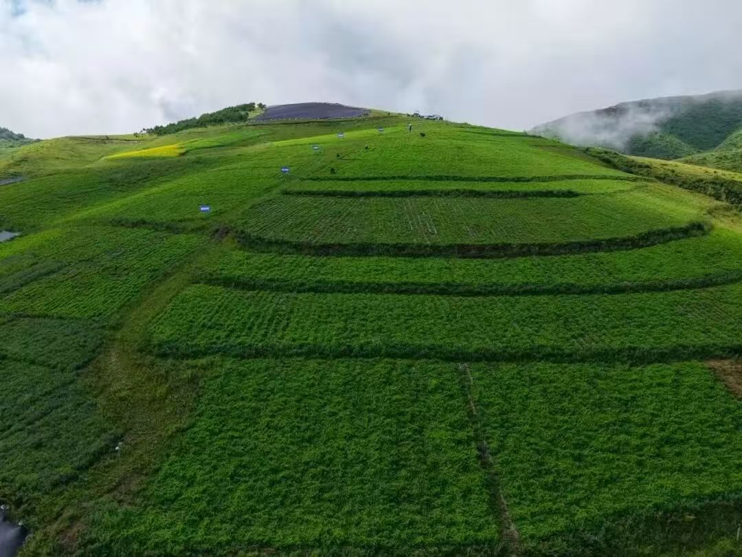 微信图片_20251021170446 微信图片_20251021170446