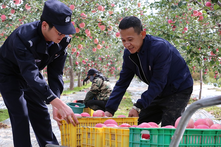 (AqEY配图2)宁县公安:深耕“田间警(44315283)-20251021181434 (AqEY配图2)宁县公安:深耕“田间警(44315283)-20251021181434