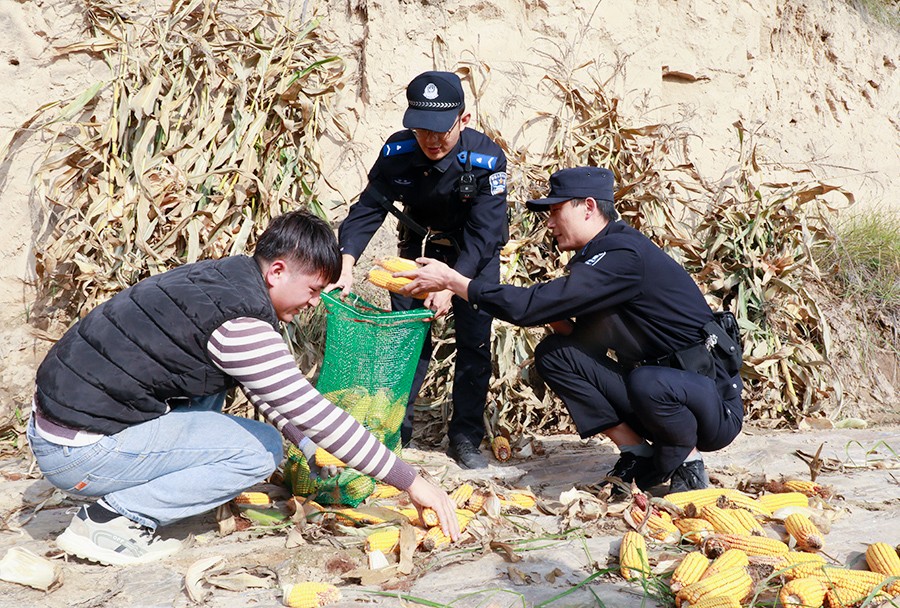 （WAqEY图片新闻）护秋收  保民生 (44396972)-20251022160303