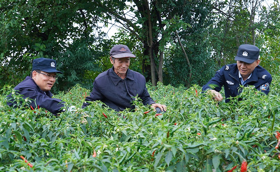 (AqEY配图1)宁县公安:深耕“田间警(44379898)-20251022165622 (AqEY配图1)宁县公安:深耕“田间警(44379898)-20251022165622