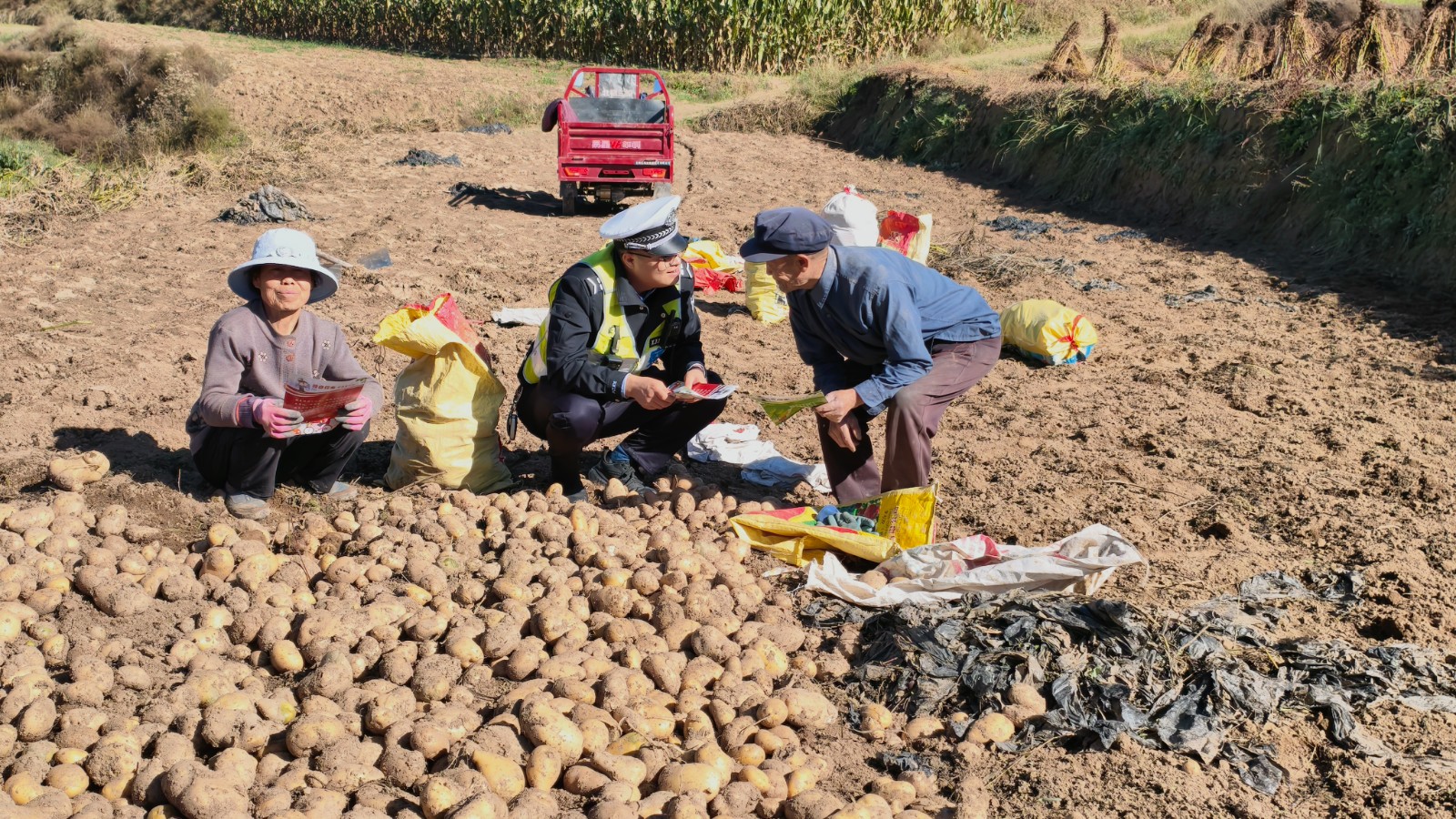 （wAYQE 定西频道）洋芋地里话安全(44398491)-20251022175519