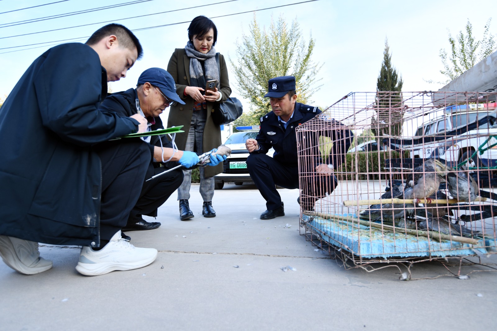 （WAQEY，图片新闻）查获非法狩猎斑鸠(44420565)-20251023155150