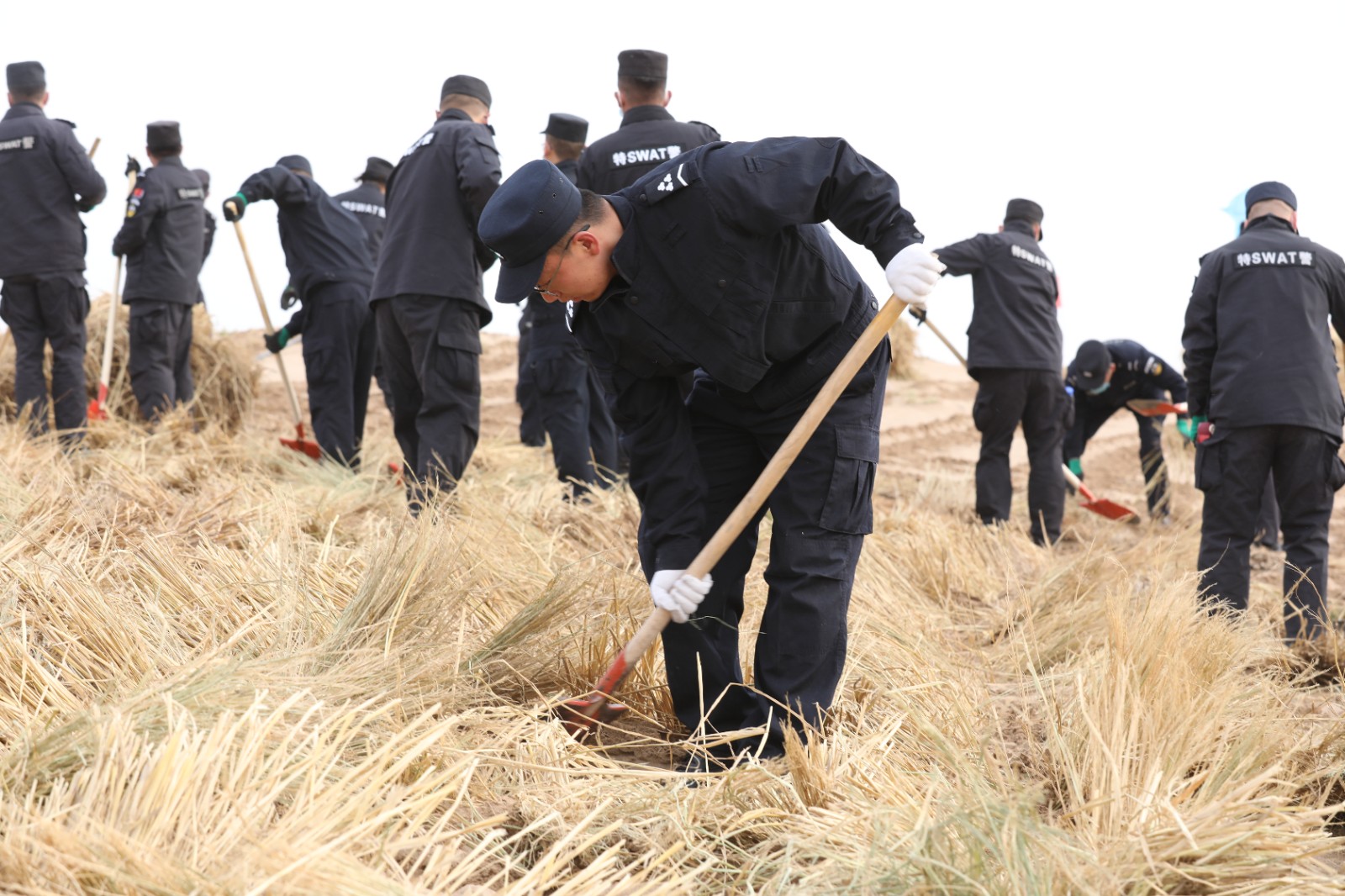 (WAQEY配图)用“金色战甲”锁住流动(44435232)-20251024144948 (WAQEY配图)用“金色战甲”锁住流动(44435232)-20251024144948