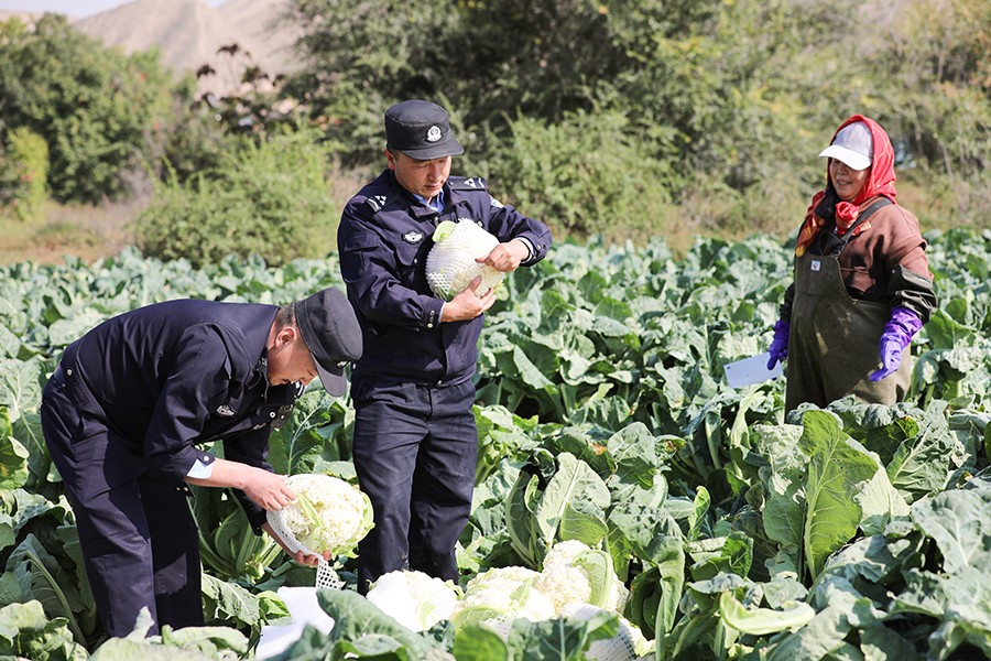 （AqEY，配图2）警民同心绘就丰收图景(44438705)-20251024160904
