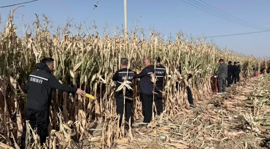 精准适用“先予执行” 实质化解矛盾纠纷