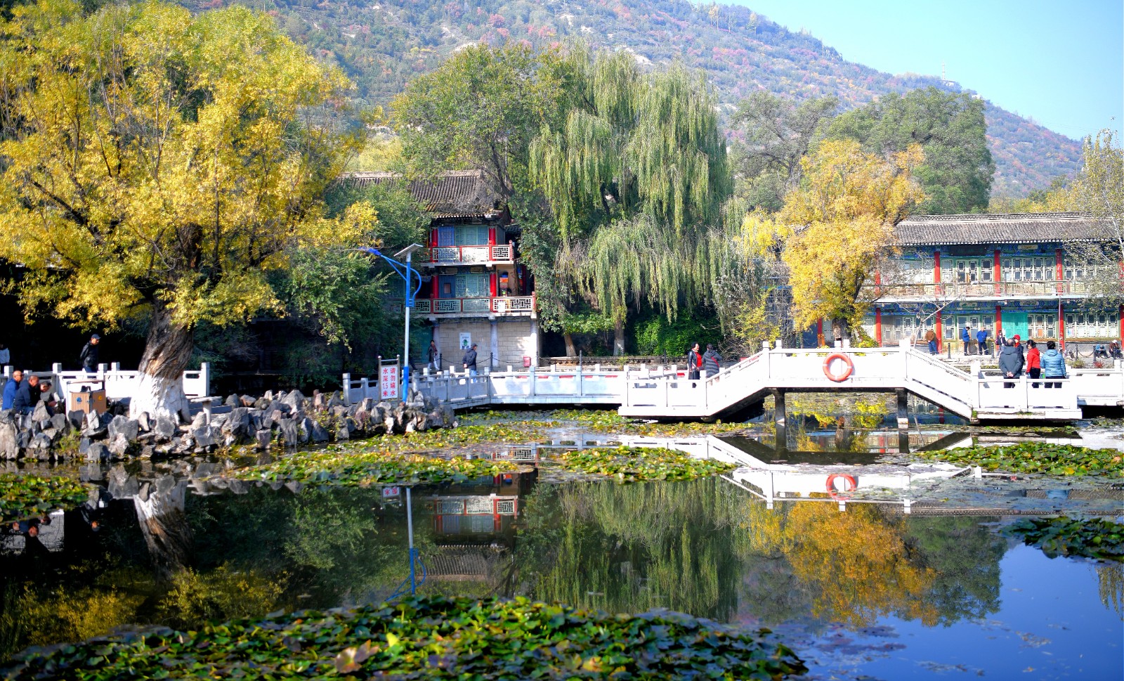 （WAqEY图片新闻）五泉山公园秋意盎然(44541652)-20251029155711