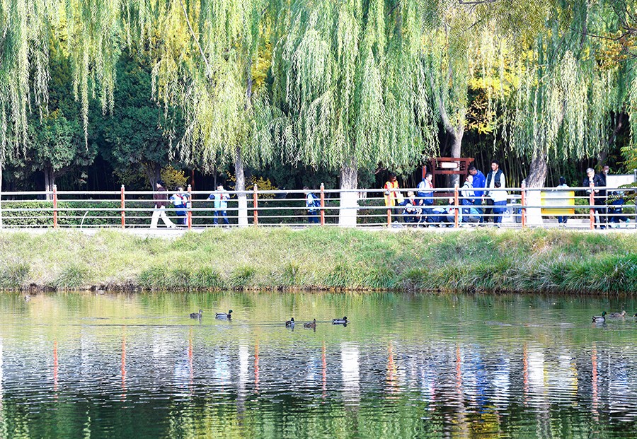 （WAqEY图片新闻）兰州小西湖公园层林(44520980)-20251029170313