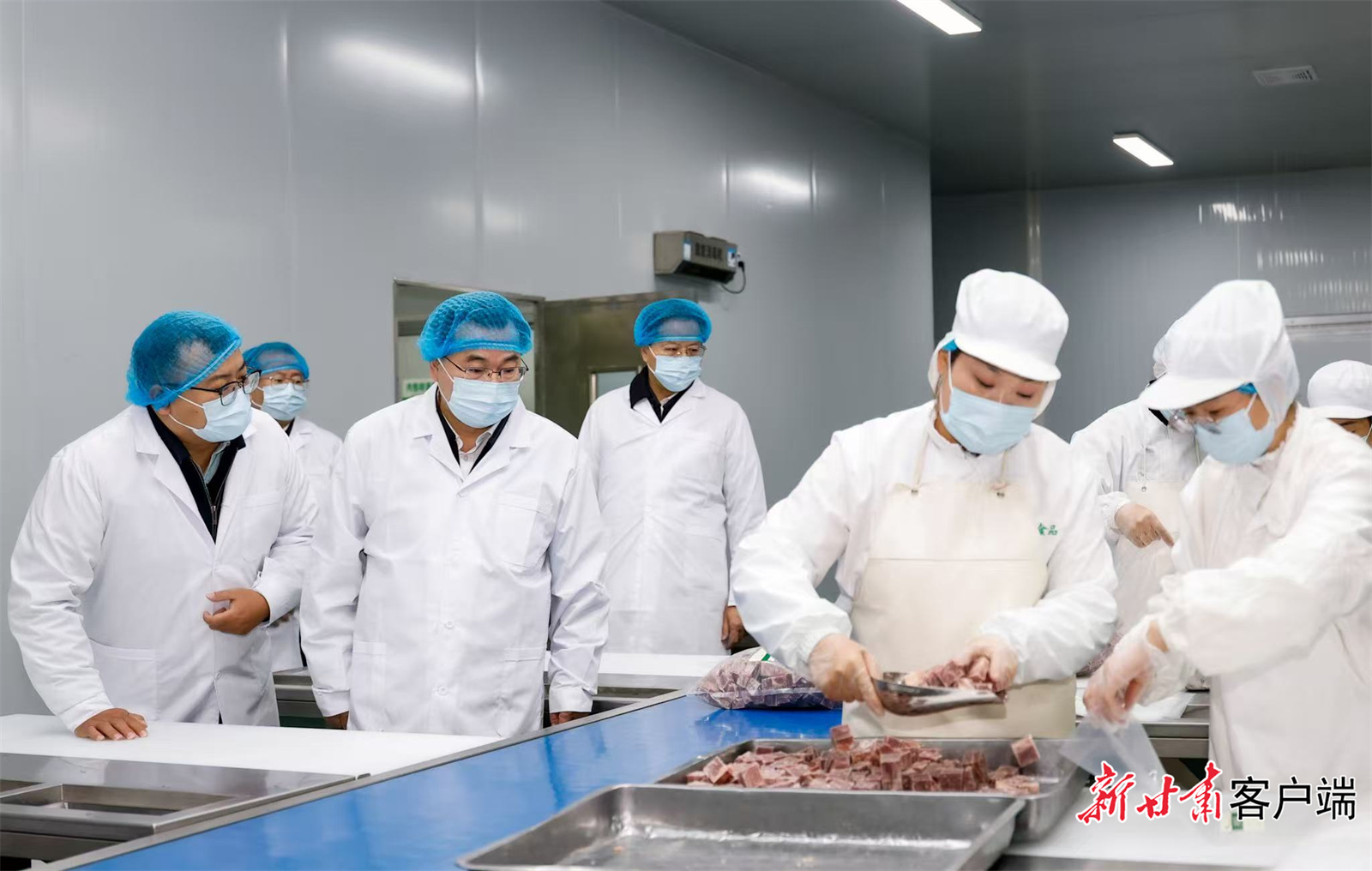 胡昌升在临洮县调研